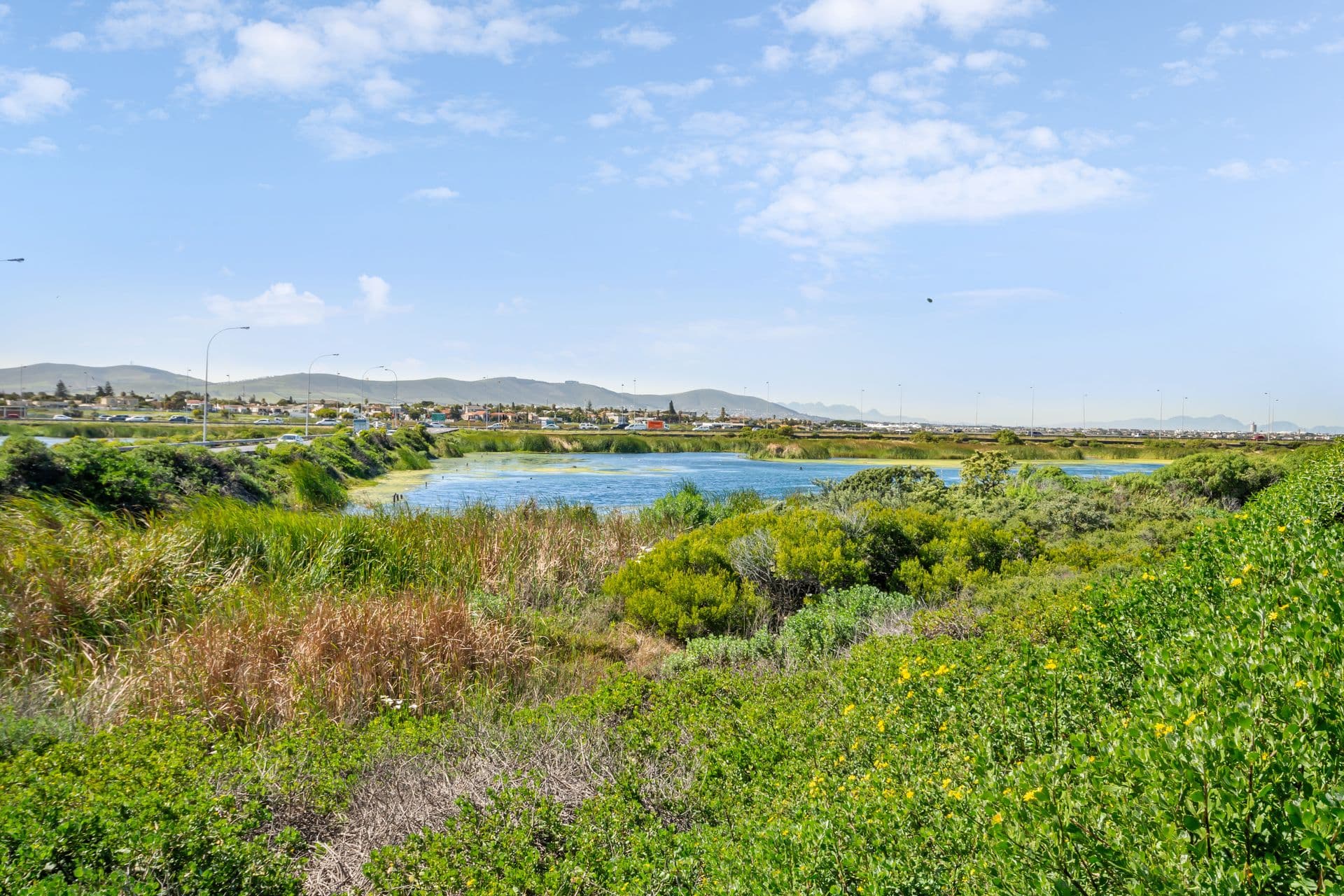 Lagoon-Facing Apartments — The Lagoon Outlook
